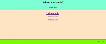 informatyk.rawa-kopernik.pl Technik informatyk