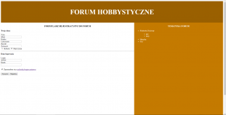 informatyk.rawa-kopernik.pl Technik informatyk