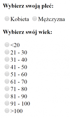 informatyk.rawa-kopernik.pl Technik informatyk
