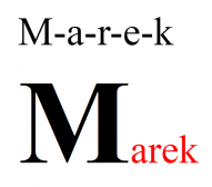 informatyk.rawa-kopernik.pl Technik informatyk