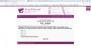 informatyk.rawa-kopernik.pl Technik informatyk