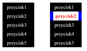 informatyk.rawa-kopernik.pl Technik informatyk